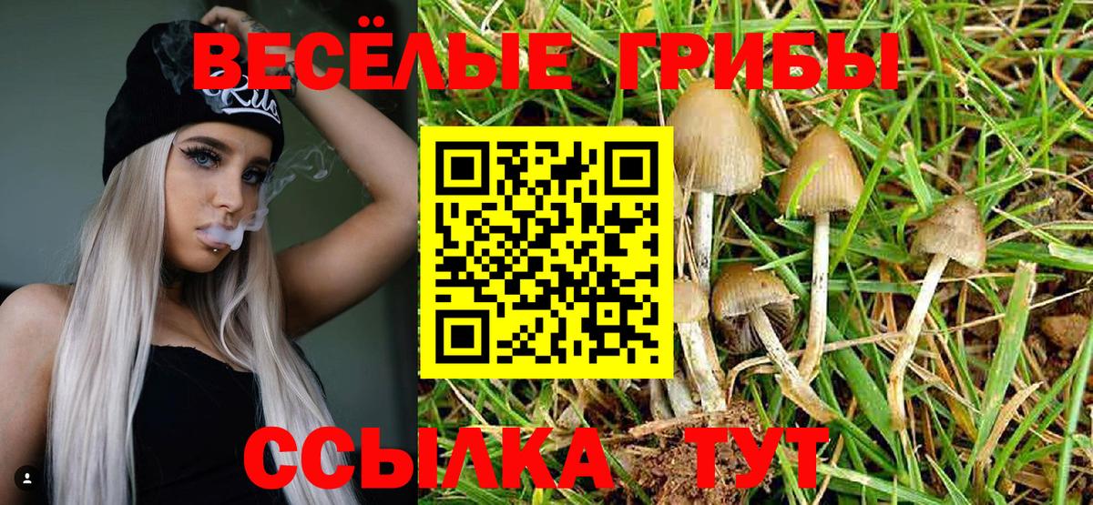 Орёл  Псилоцибиновые грибы ЛСД  Вход с VPN  Псилоцибиновые грибы Psilocybine cubensis 