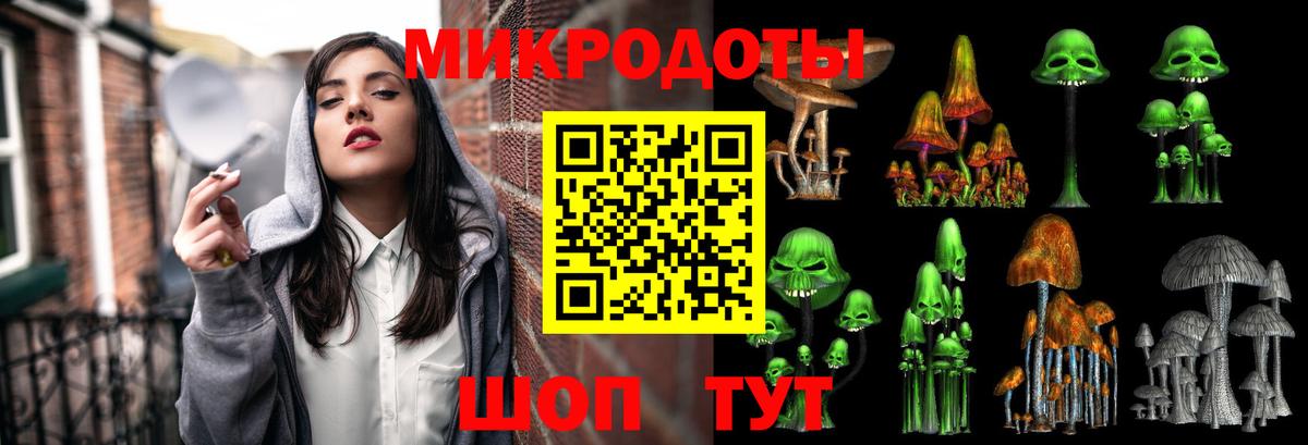 Галлюциногенные грибы Psilocybe Орёл